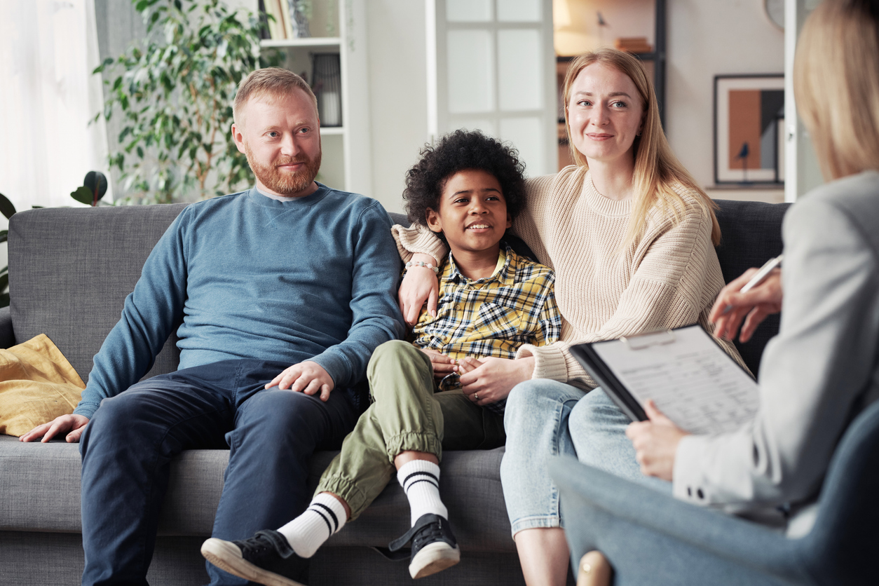 Role of an Adopted Child Custody Lawyer